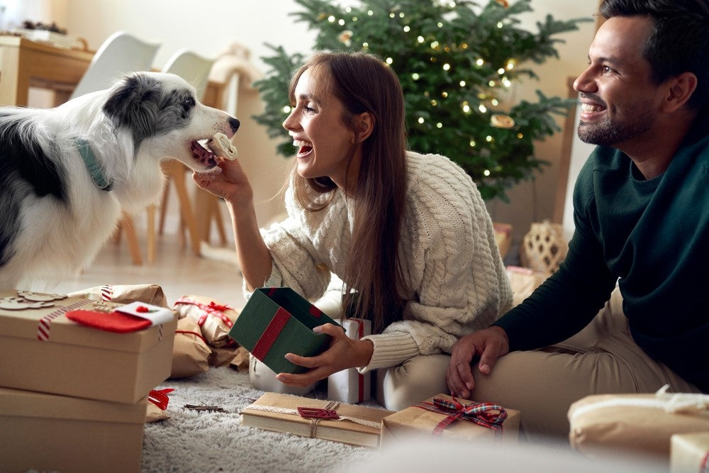 7 Ways to Keep Your Home Festive With Dog-Friendly Christmas Decorations, Treats, and More