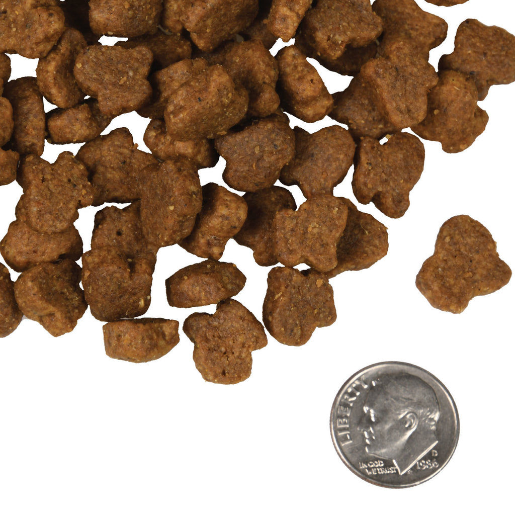 Why High-Quality Dog Food Can Save You Money: A Closer Look at Value vs. Cost