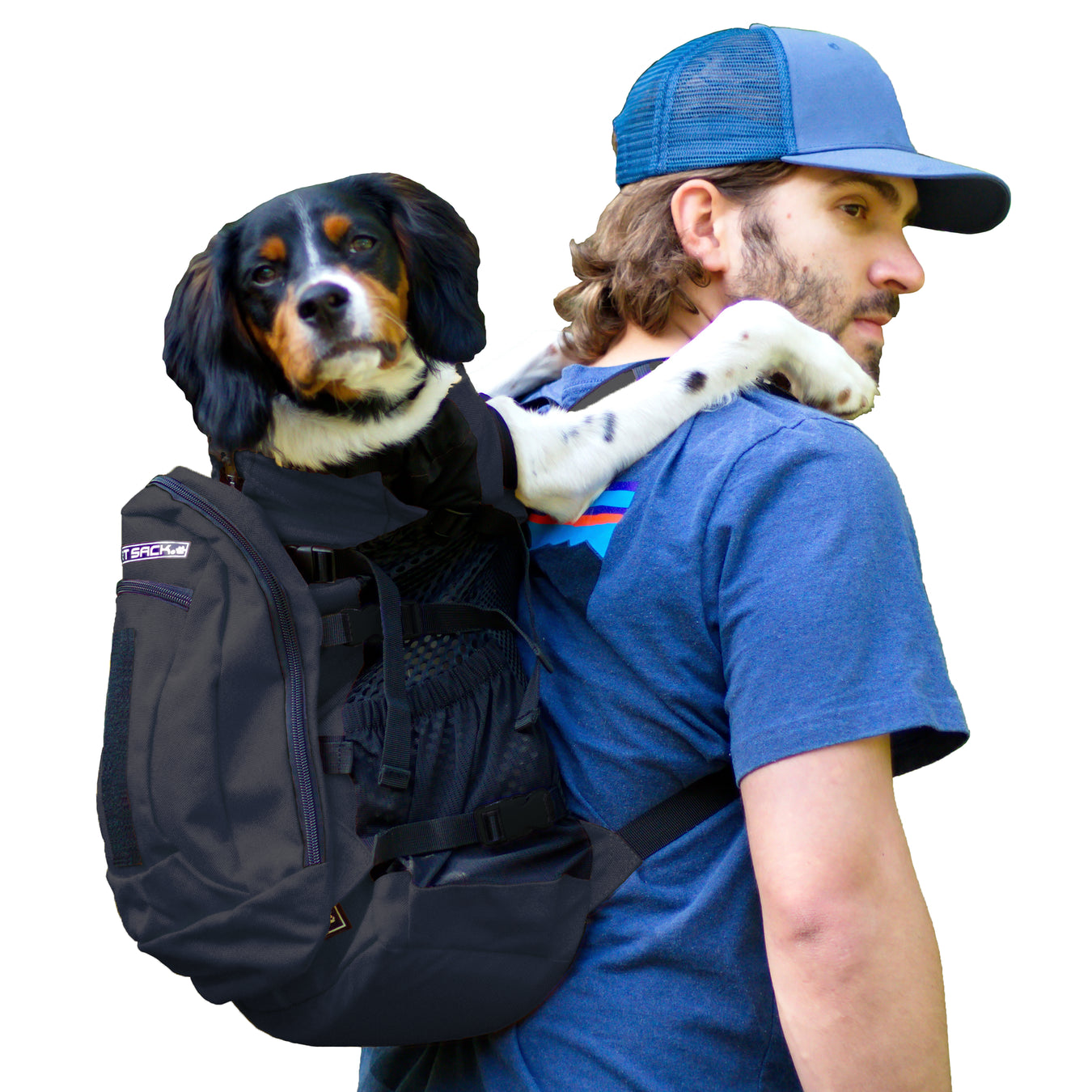 Pet Carriers and Pet Backpacks (for humans to carry their furry friends)