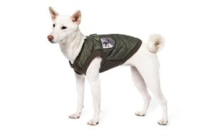 Dog Clothing & Accessories