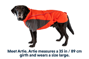 Ruffwear Furness Dog Jacket - Red Sumac - Dog.Dog.Cat.