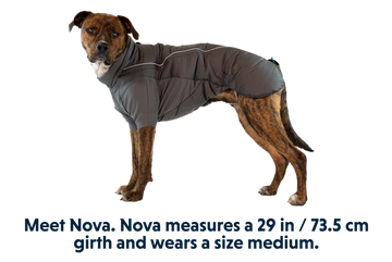 Ruffwear Furness Dog Jacket - Twilight Gray - Dog.Dog.Cat.