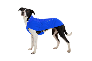 Ruffwear Vert™ Dog Jacket - Dog.Dog.Cat.