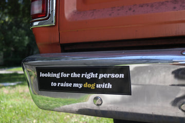 BARK JAX - Looking For The Right Person Bumper Sticker - Dog.Dog.Cat.