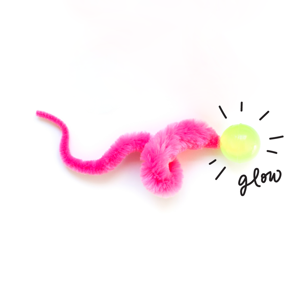 Wiggly Glow in the Dark Cat Toy Bouncy Ball - Dog.Dog.Cat.