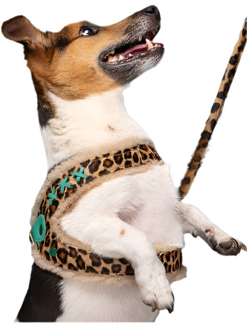 Dog With A Mission - Leopard Print Dog Harness with Fleece lining.  Easy step in design - Dog.Dog.Cat.