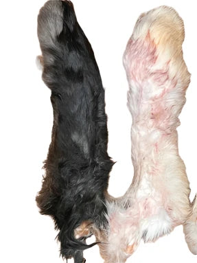 Rabbit Feet (each) Bulk Dog Chew Natural Single Ingredient - Dog.Dog.Cat.