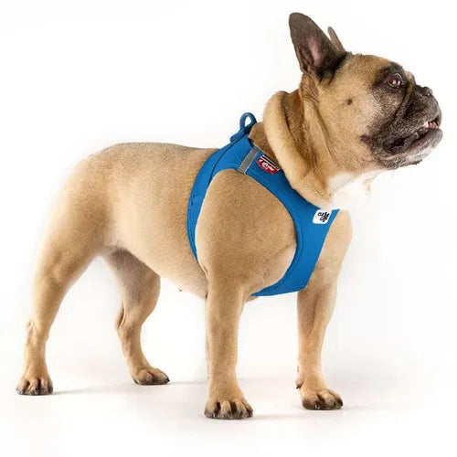 Curli Air Mesh Clasp Vest Harness Ultra lightweight in many colors - Dog.Dog.Cat.