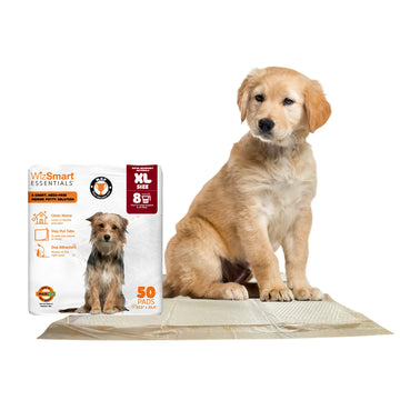 Wizsmart Dog Pads-Ultra XL - Dog.Dog.Cat.