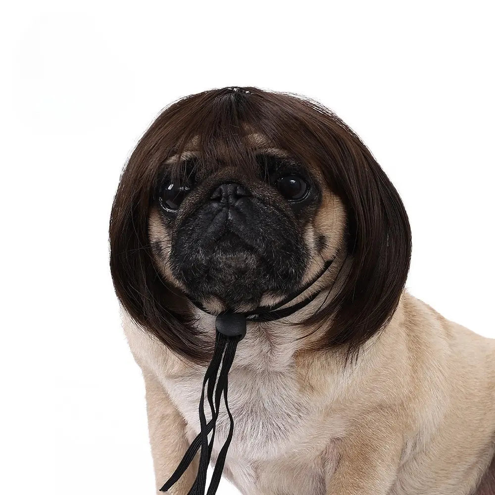 Pet Wig - Dog.Dog.Cat.