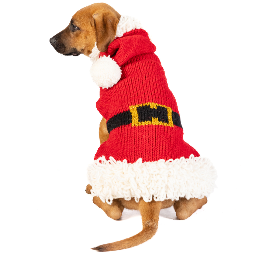 Chilly Dog Santa Dog & Cat Sweater - Dog.Dog.Cat.