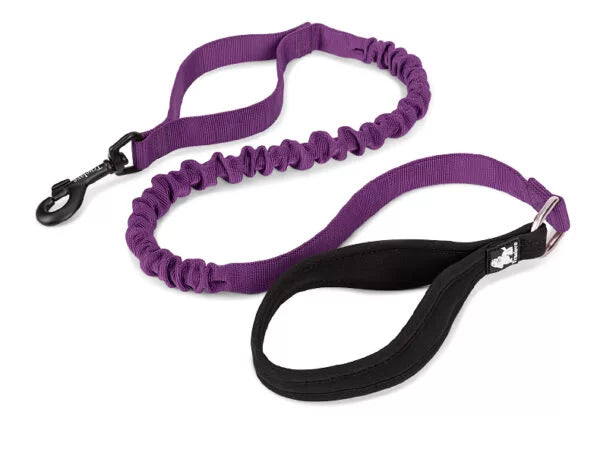 Purple bungee dog leash with soft  Neoprene Handle and traffic leash loop