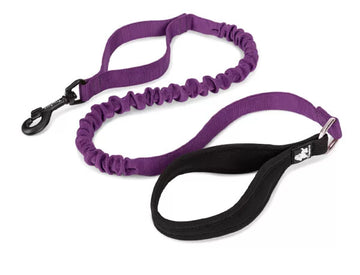 Purple bungee dog leash with soft  Neoprene Handle and traffic leash loop