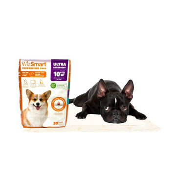 Wizsmart Dog Pads-Ultra 30 : 23.5 x 22" - Dog.Dog.Cat.