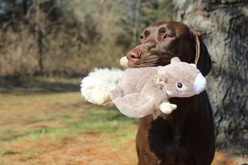 Tall Tails Dog Toy-Fly Squirrel : 12" - Dog.Dog.Cat.