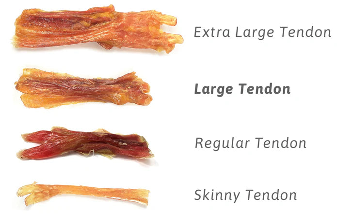 Beef Tendon - Dog.Dog.Cat.