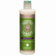 Buddy Wash Dog Shampoo-Green Tea : 16 oz. - Dog.Dog.Cat.