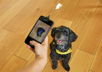 Kikkerland Design Inc - Dog Treat Selfie Clip - Dog.Dog.Cat.