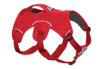 Ruffwear WebMaster Dog Harness - Dog.Dog.Cat.