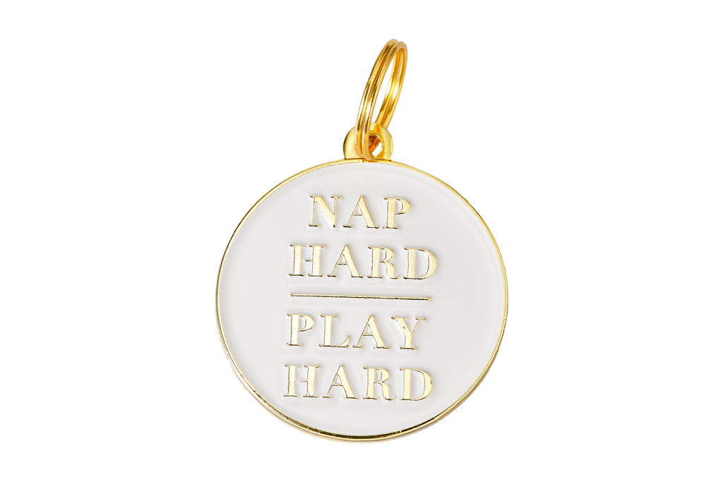 Two Tails Pet Company - Nap Hard Play Hard Pet ID Tag - Dog.Dog.Cat.