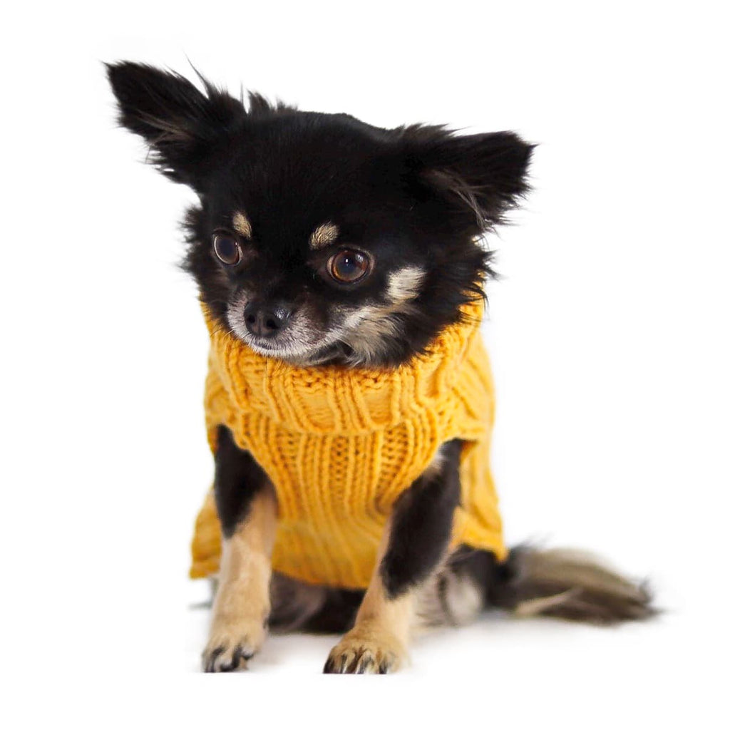 Zoo Snoods - Zoo Sweaters - Dog.Dog.Cat.