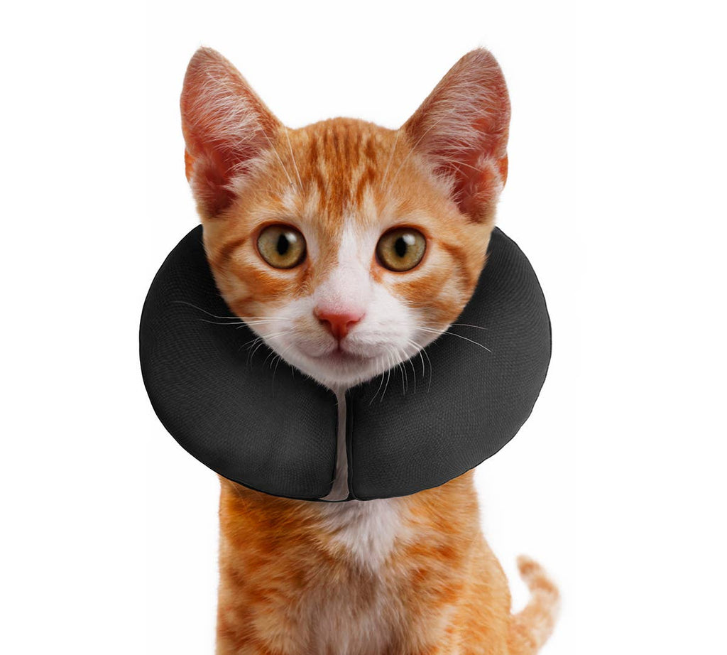 ZENPET - ZenCollar - Inflatable Recovery Collar - Dog.Dog.Cat.