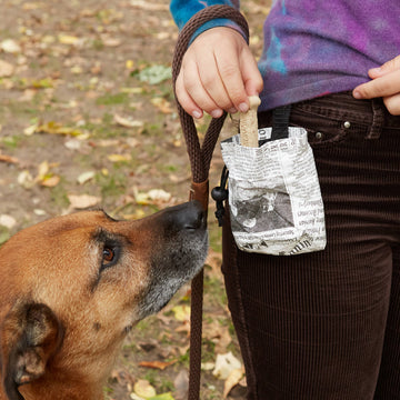 Kikkerland Design Inc - Dog Treat Bag - Dog.Dog.Cat.