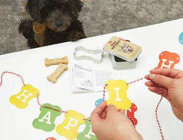 Kikkerland Design Inc - Dog Birthday Kit - Dog.Dog.Cat.