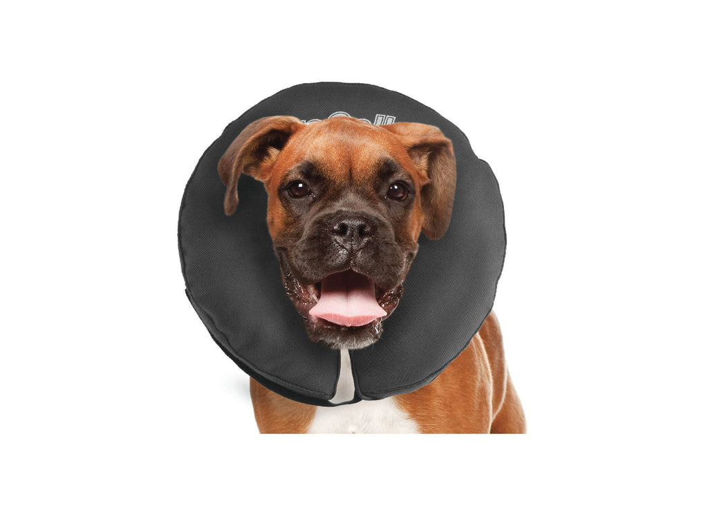 ZENPET - ZenCollar - Inflatable Recovery Collar - Dog.Dog.Cat.